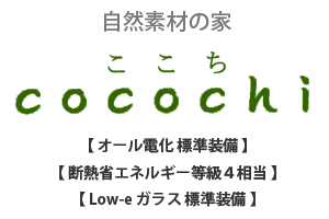cocochi