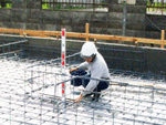 サンプル