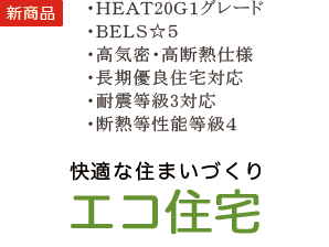 エコ住宅